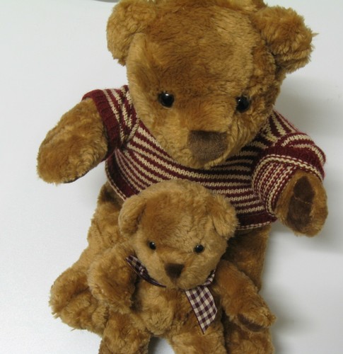 Teddy bears 2004 unused - -,