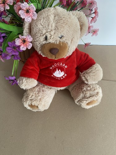Plush soft clean - soft, bear