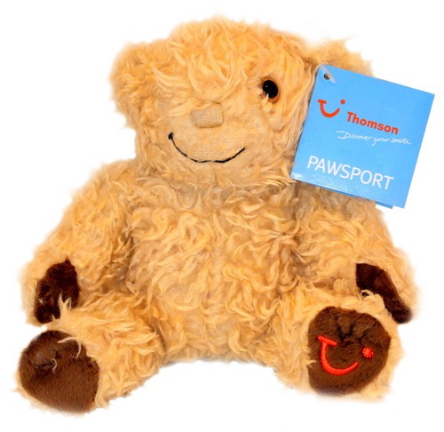 Teddy bear 16cm - 16cm, thompson