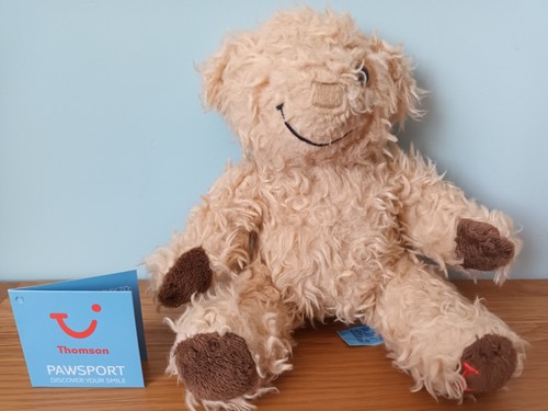 Teddy bear 16cm - 16cm, thompson