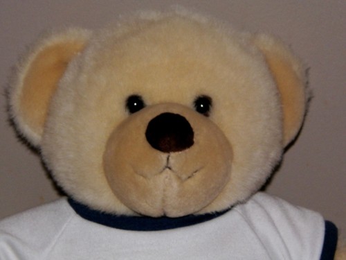 Build bear tan teddy - build, a