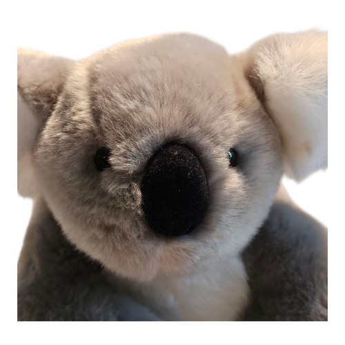 Koala bear plush - plush, stuffed